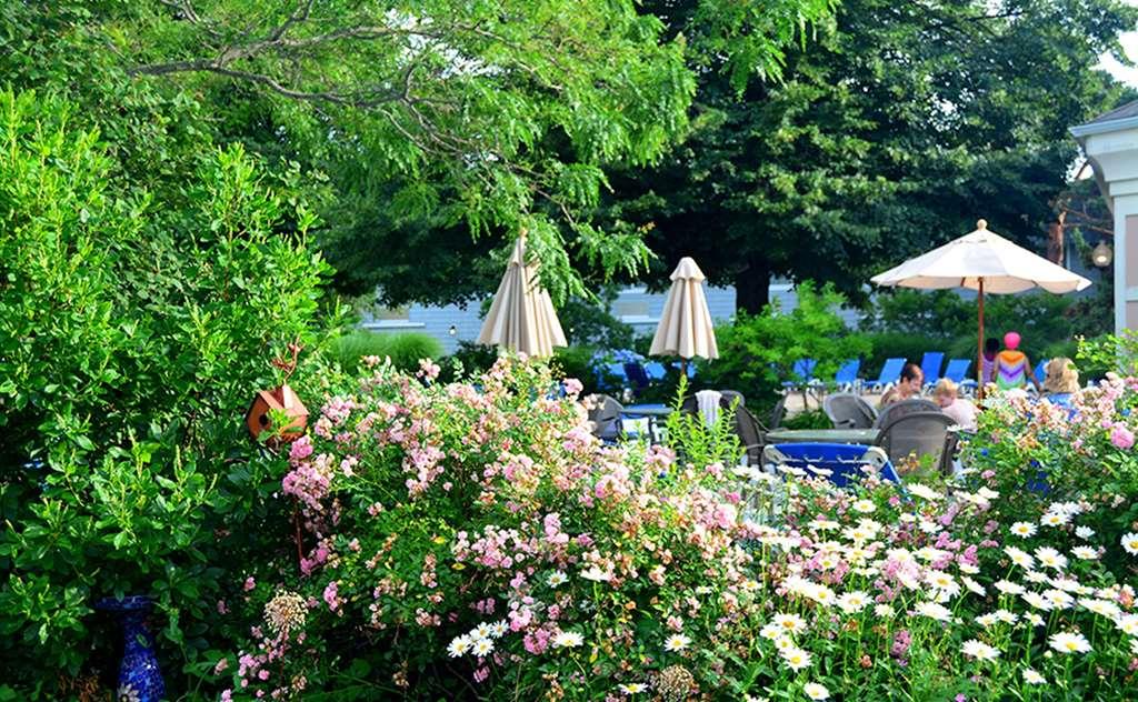 Margaritaville Resort Cape Cod Hyannis Facilități foto